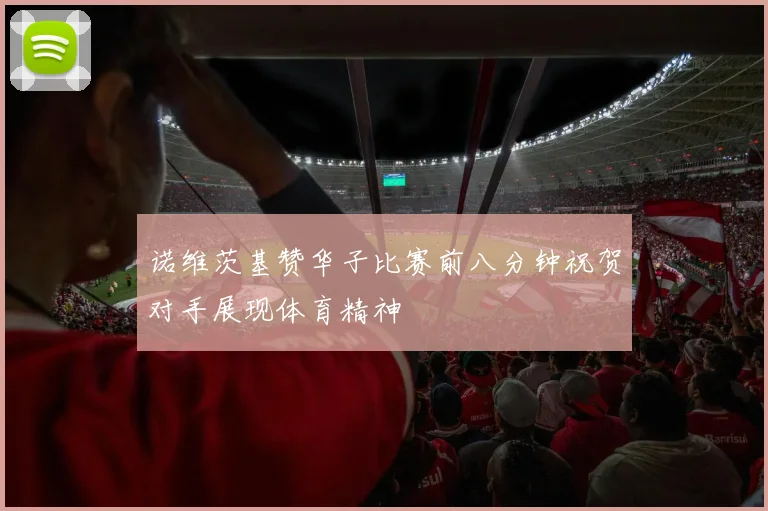 诺维茨基赞华子比赛前八分钟祝贺对手展现体育精神
